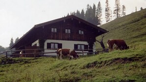 Una cabaña de madera con techo inclinado, rodeada por un cercado de pasto donde pastan vacas.
