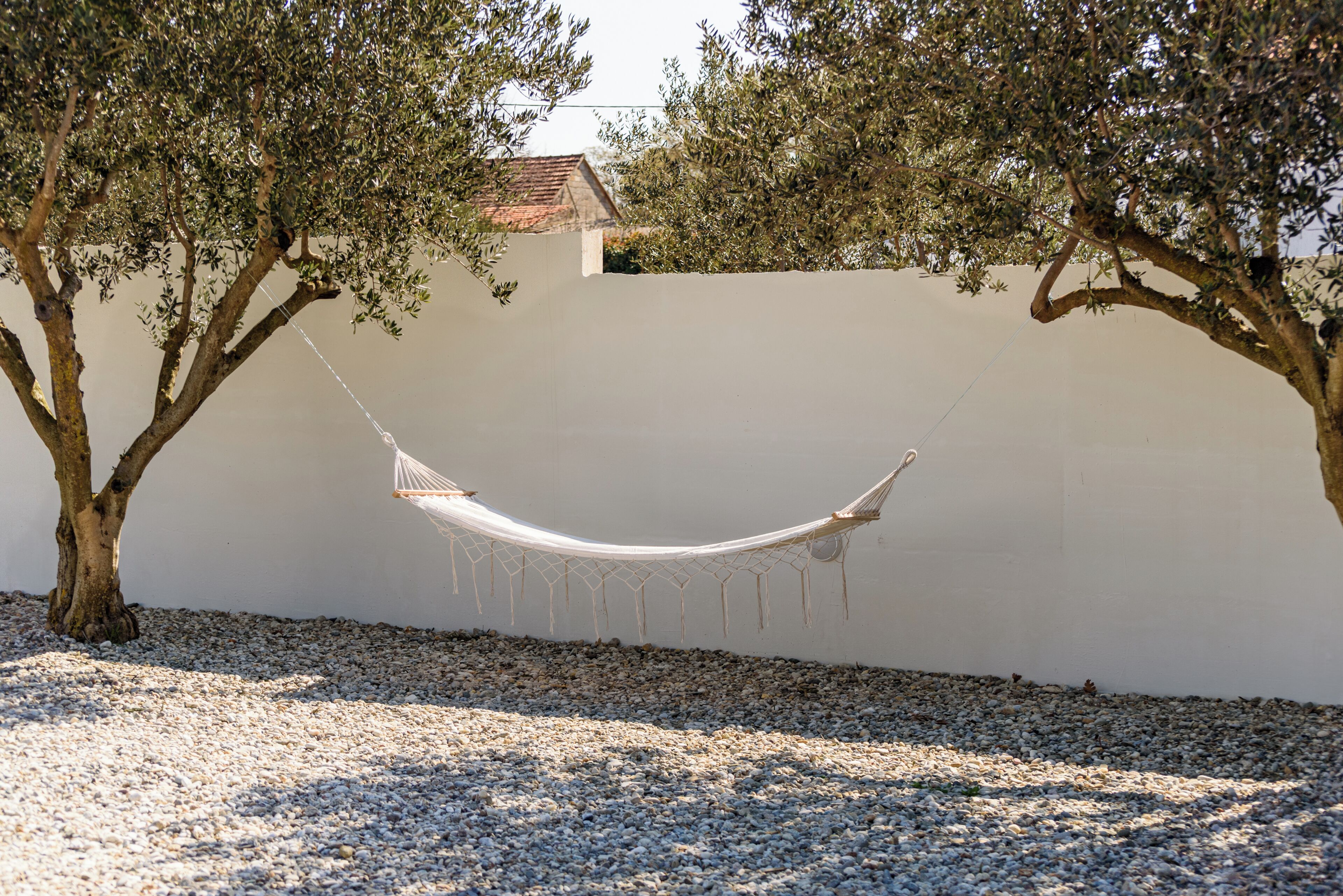 A hammock suspended between two trees in a garden with a white wall and a building in the background.