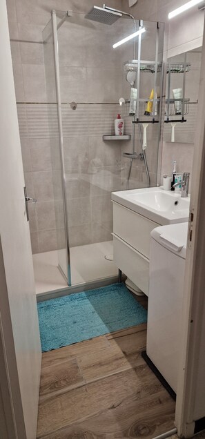 Une salle de bain moderne avec une douche à l’italienne en verre, un lavabo blanc et un miroir au-dessus.