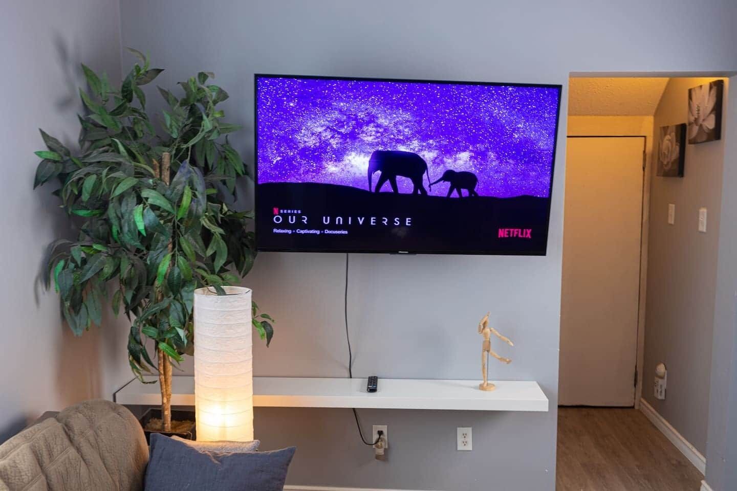 A living room with a TV displaying 'Our Universe' on Netflix, a potted plant, a lamp, and a white shelf.