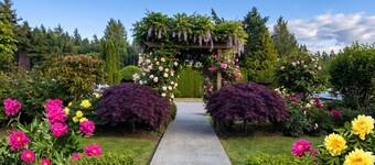 Charming Private Suite in Prestigious Vancouver West Side