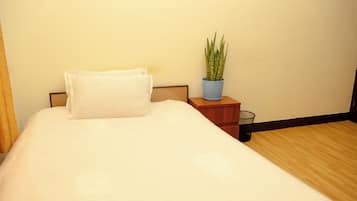 A neatly made bed with white linens, a small wooden nightstand with a blue pot containing a green plant, and a metal waste basket.