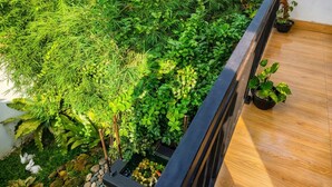 A balcony with a wooden floor, a black metal railing, and a variety of green plants. - Sandila Surf and Stay Hiriketiya (Dikwella)