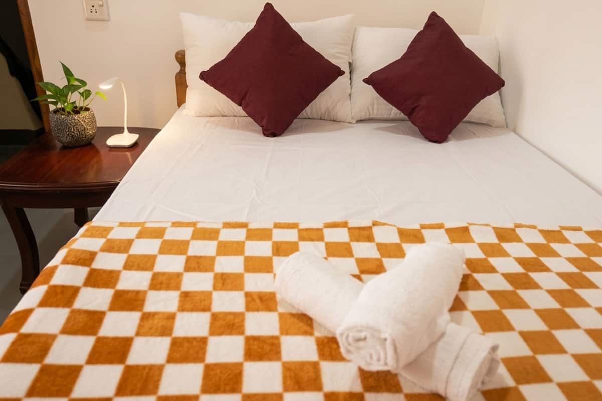 A hotel room with a checkered bedspread, two pillows, a bedside table with a plant, and a lamp.