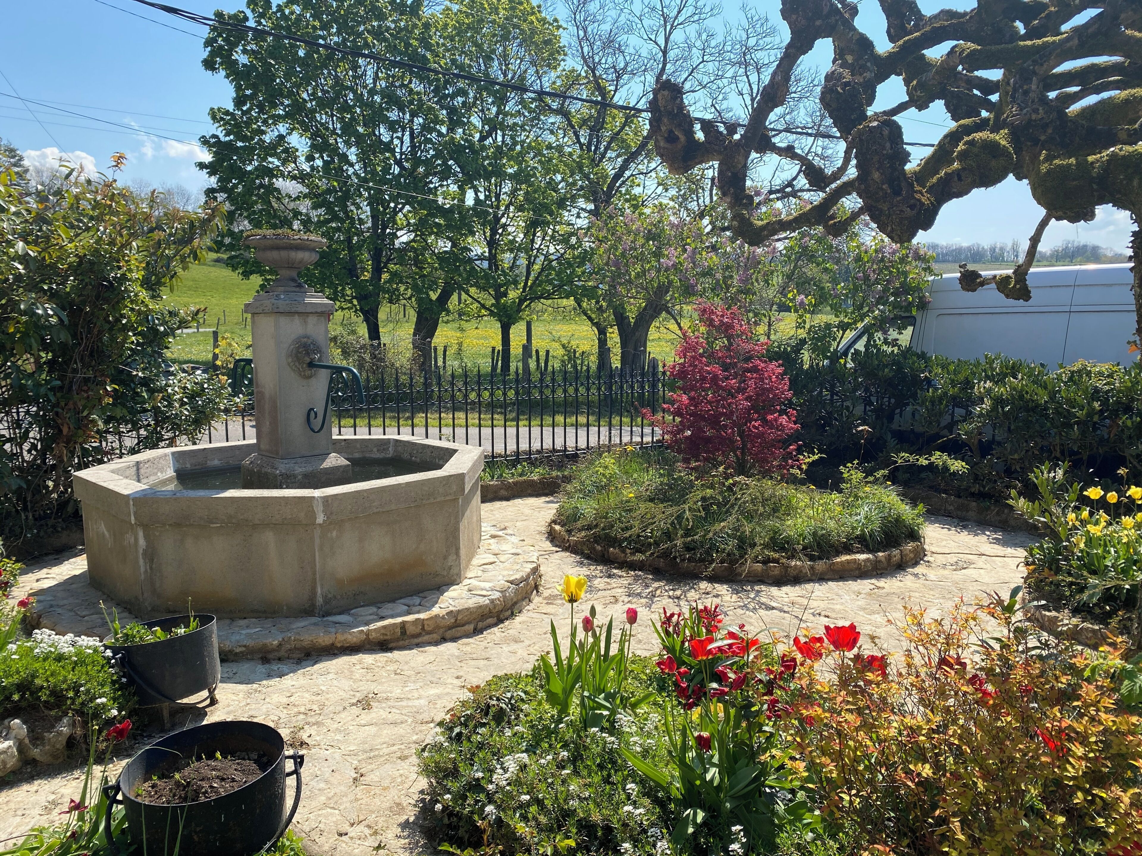Un jardin agrémenté d’une fontaine, de différentes plantes et d’une zone dallée.