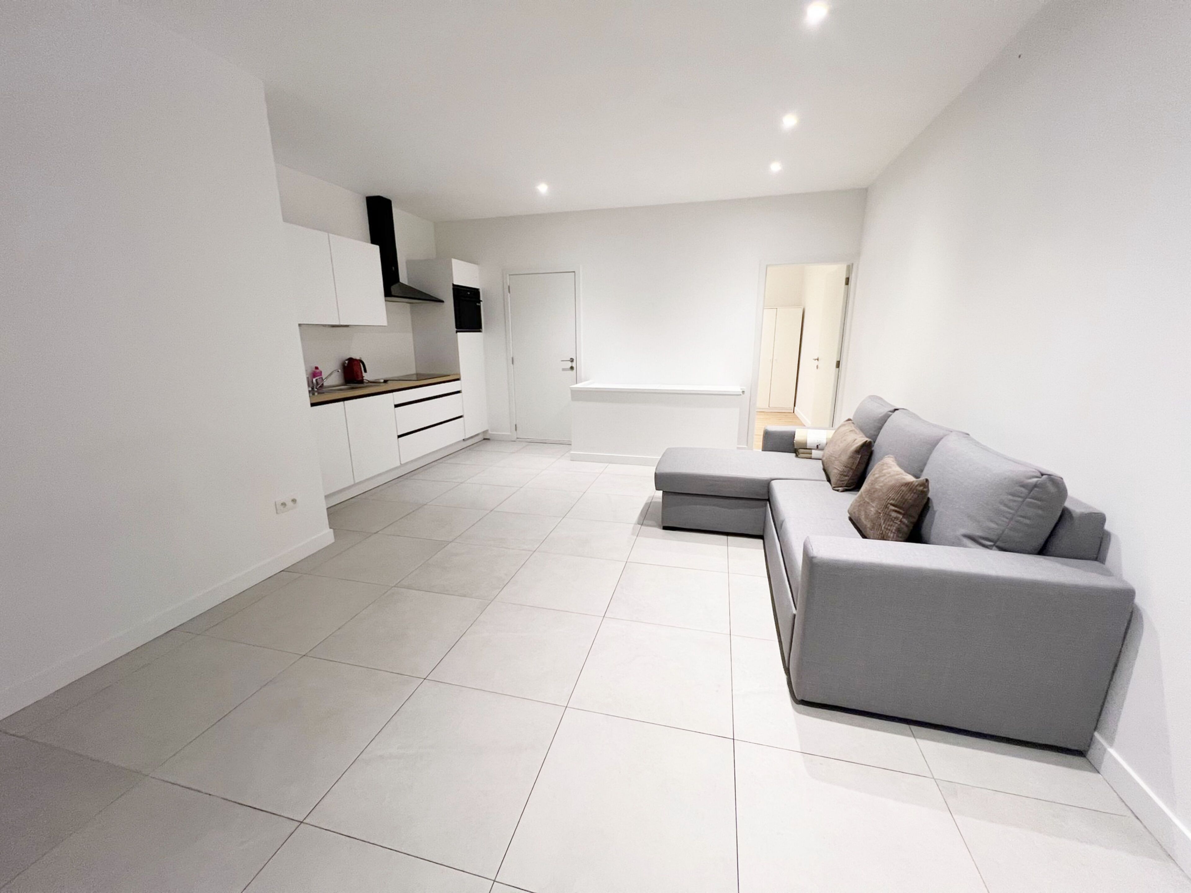 A modern apartment with a kitchen, a grey sofa, and a white door.
