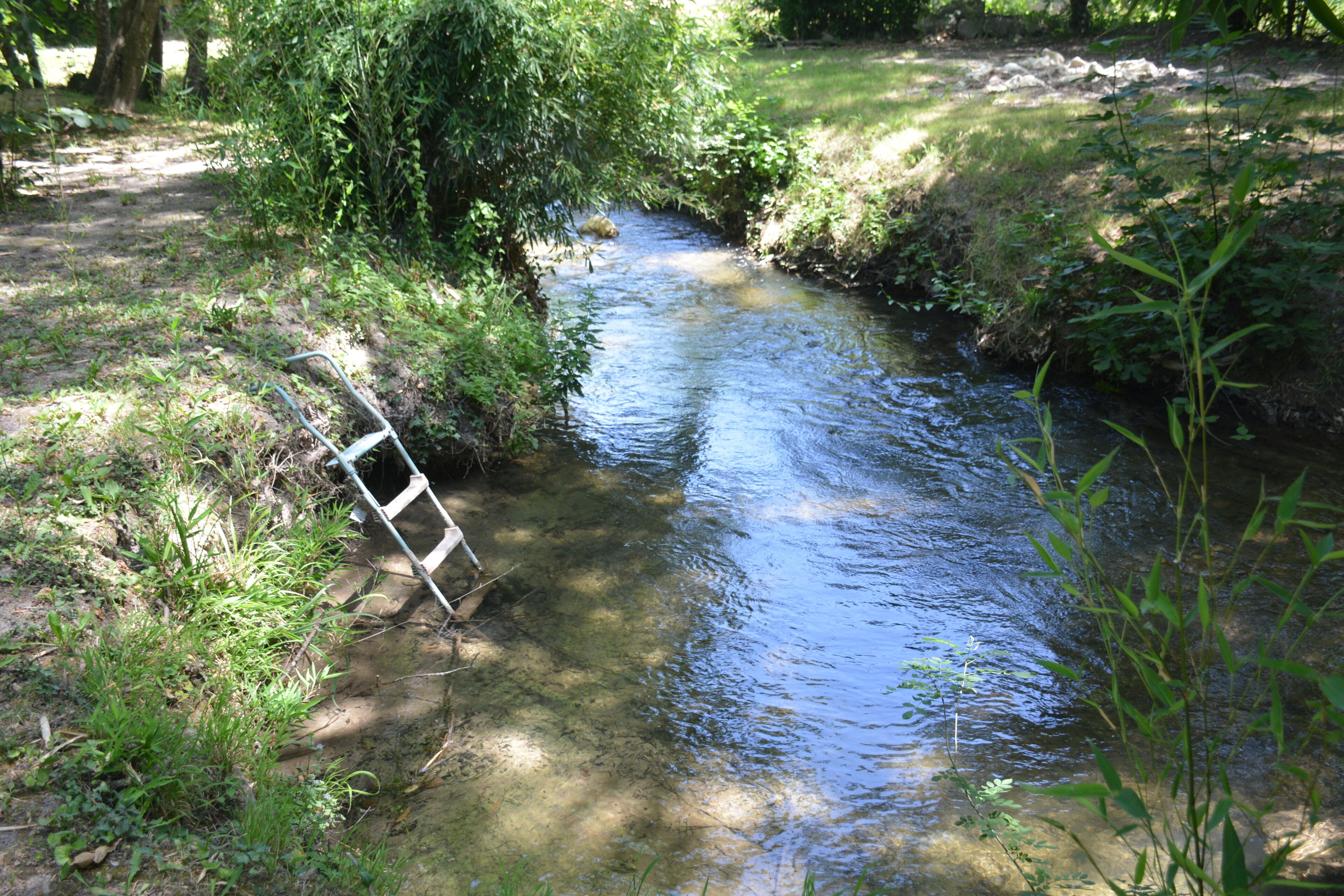 A narrow stream with a ladder leaning against the bank, surrounded by greenery.