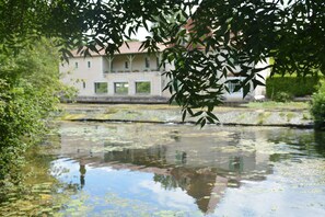 A building with a balcony, a pond with lily pads, and foliage in the foreground.