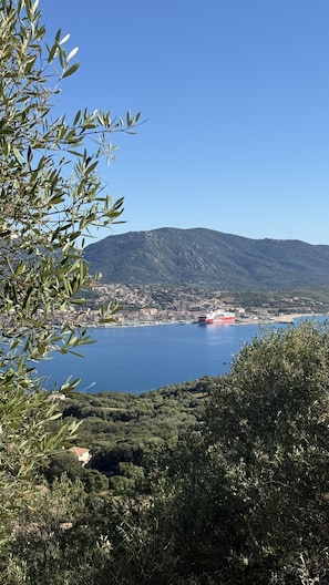 Un paysage côtier avec des oliviers, un ciel bleu clair et une vue lointaine sur une ville et un navire.