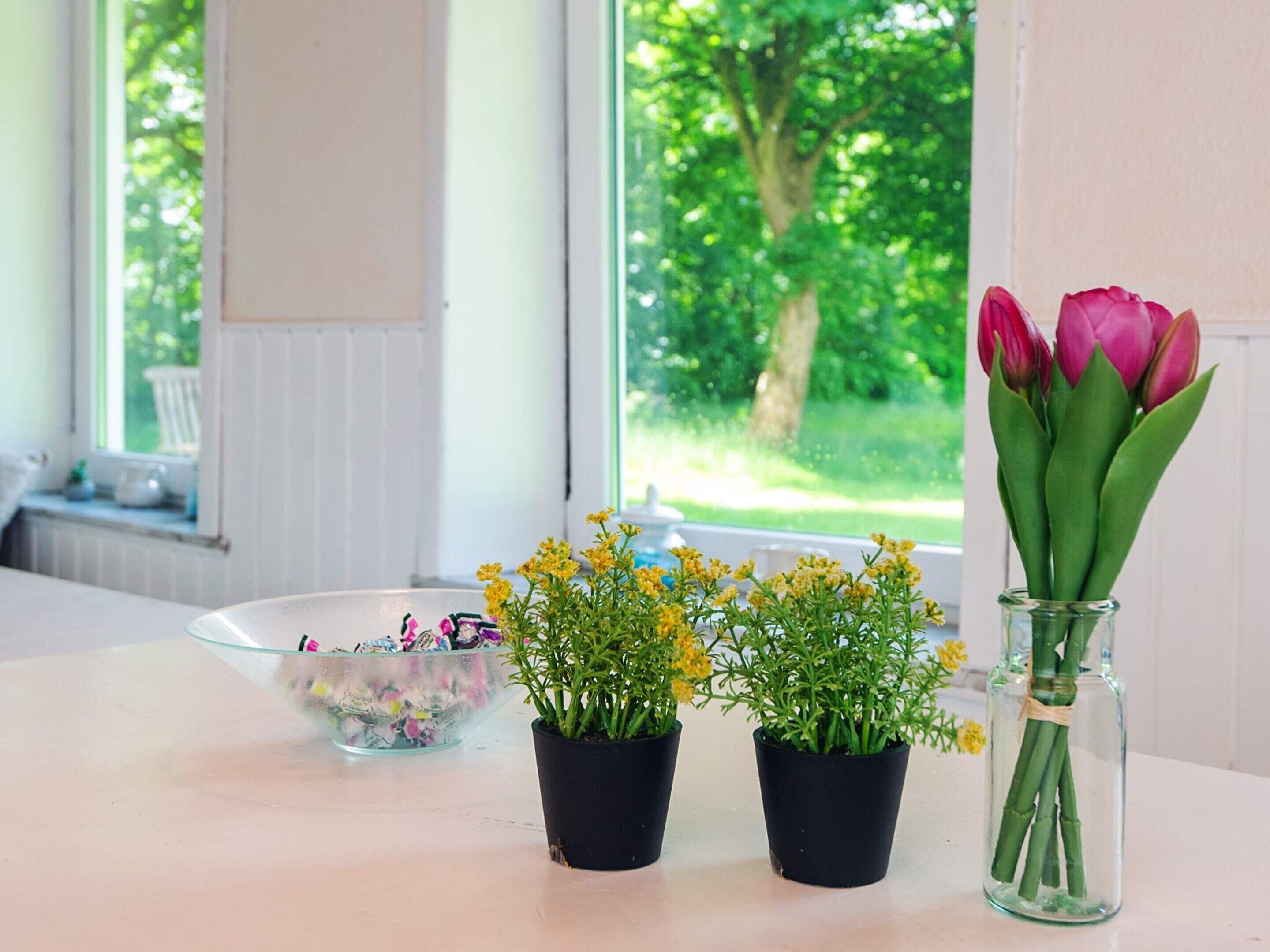 Una mesa con tres plantas en macetas y un florero con flores.