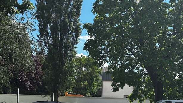 Un parcheggio con diverse auto e alberi.
