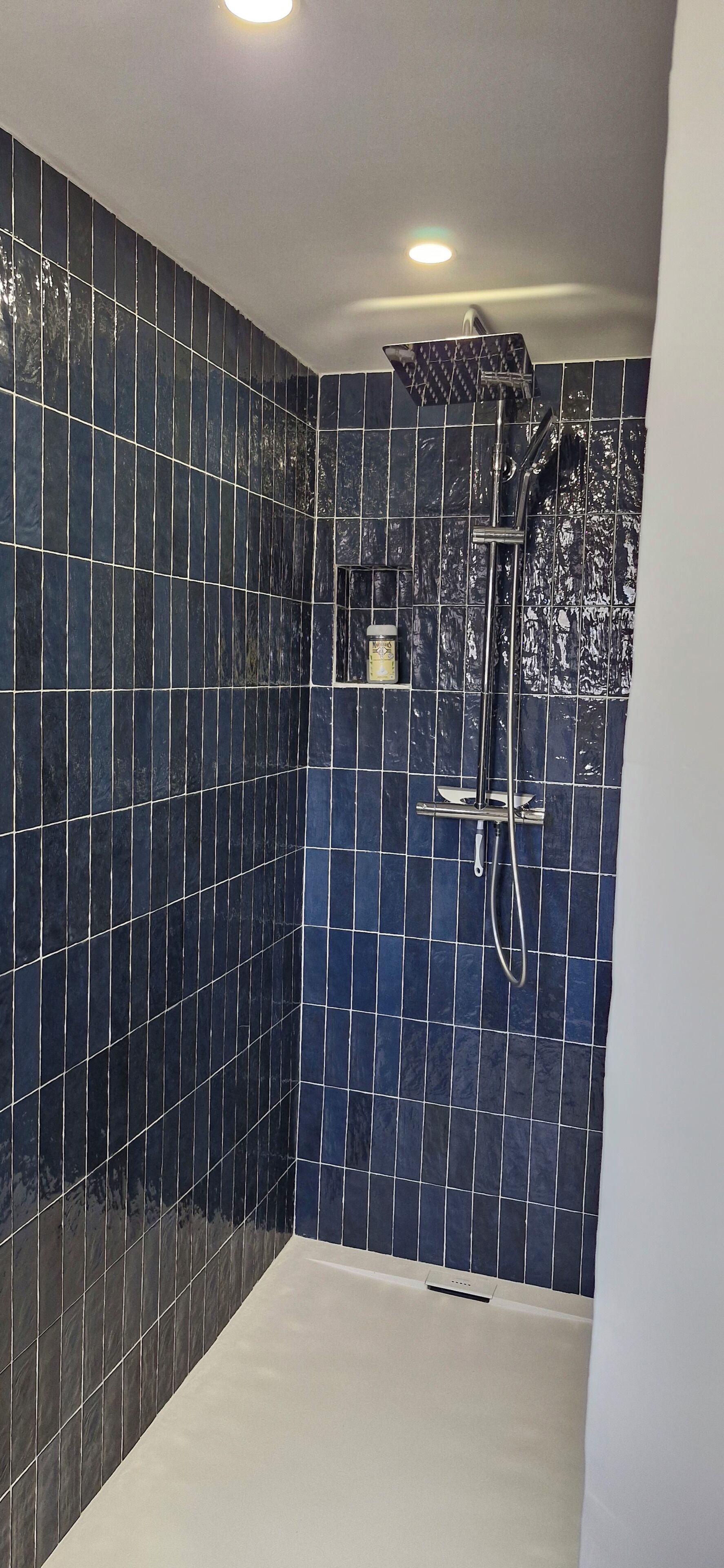 Shower, towels, soap, toilet paper