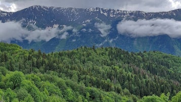 Vista dalla struttura