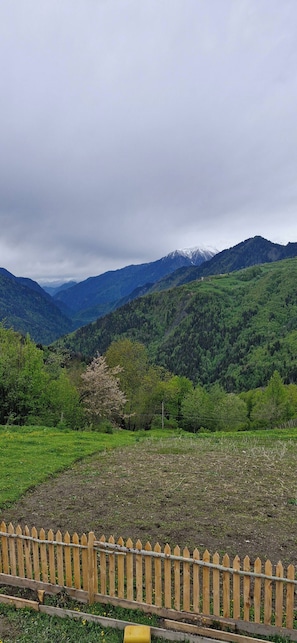 Property grounds - Isolated Cabin in Kichkhuldashi, Svaneti with Lake Fishing & Horse Riding (Nakra)