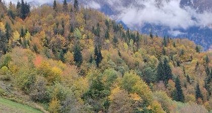 Isolated Cabin in Kichkhuldashi, Svaneti with Lake Fishing & Horse Riding