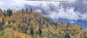 Isolated Cabin in Kichkhuldashi, Svaneti with Lake Fishing & Horse Riding