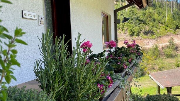 Un edificio con puerta, ventana y barandilla con plantas.