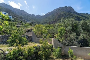 Eine Berglandschaft mit einer Steinmauer und viel Grün.