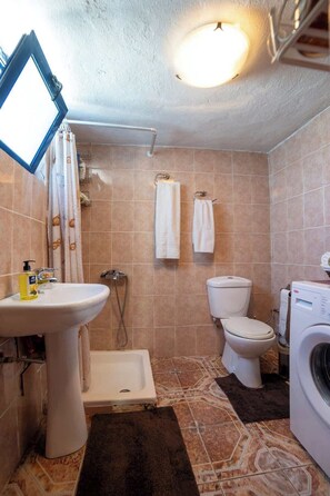 A bathroom with a sink, toilet, shower, and washing machine.