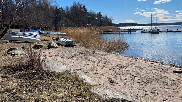 Une zone au bord d’un lac, avec des bateaux, un quai et une forêt en arrière-plan.