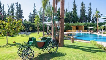Jardim