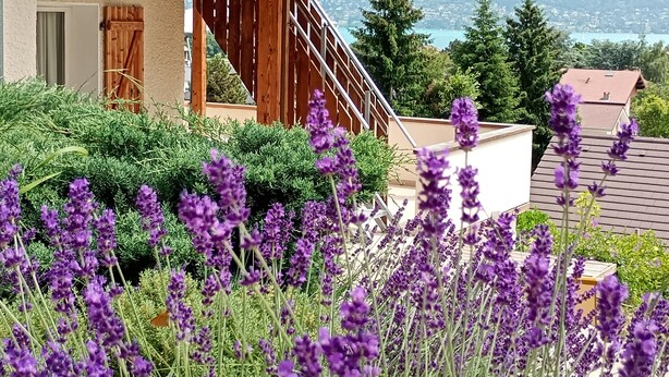 Ein hölzernes Gebäude mit Balkon, umgeben von Grün und violetten Blumen.