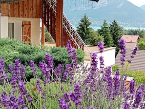 A wooden building with a balcony, surrounded by greenery and purple flowers.