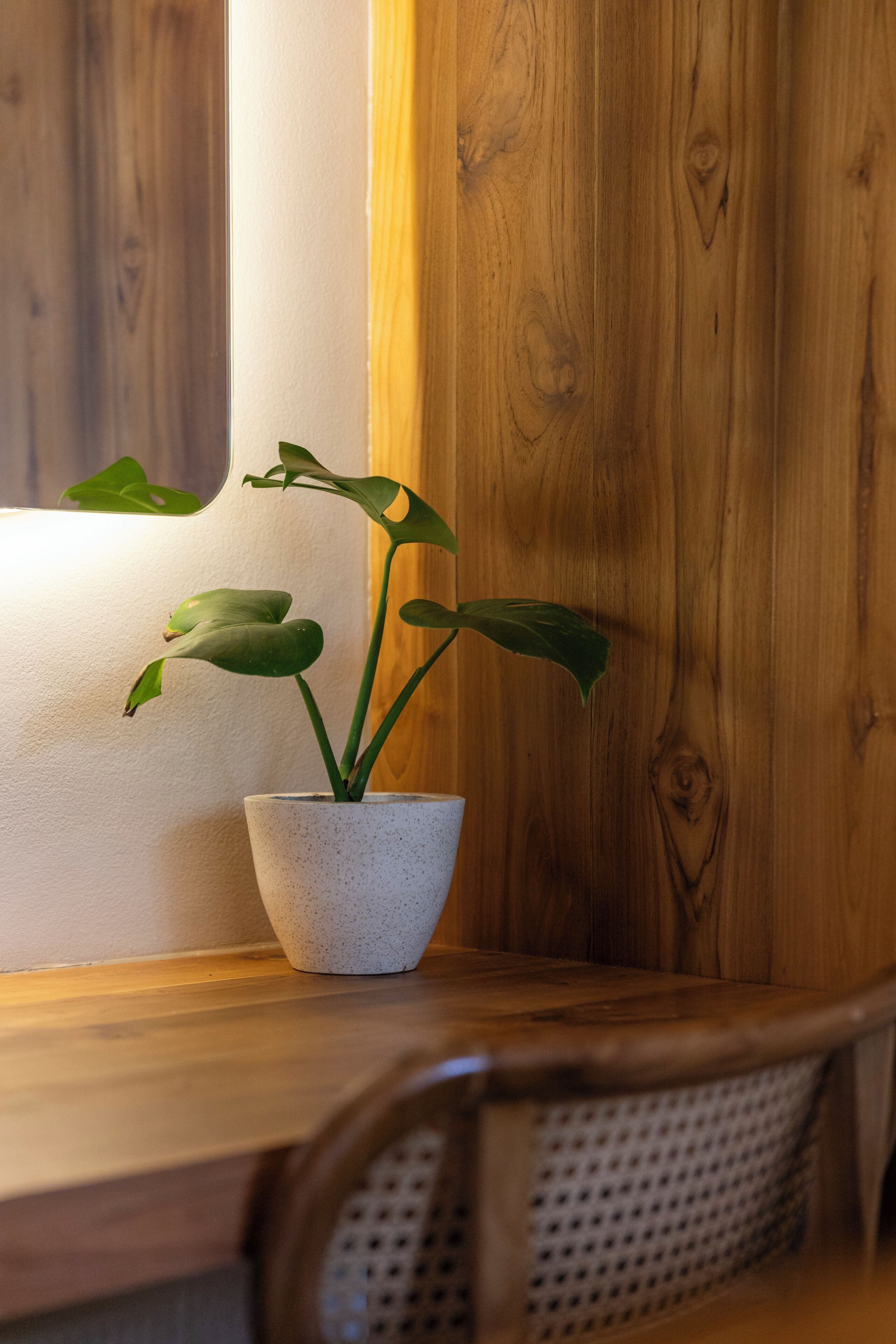 A potted plant on a wooden table with a chair.