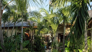 Un sendero conduce a un edificio rodeado de exuberante vegetación tropical.