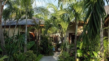 Blick auf den Garten