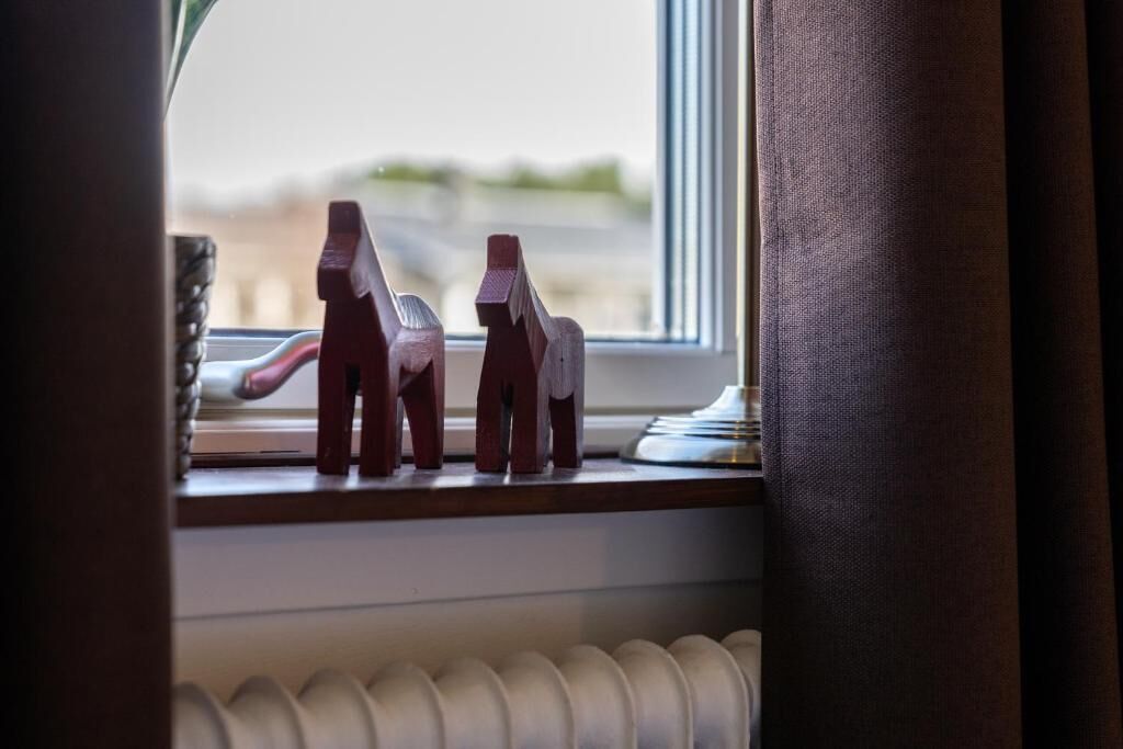 A window with a view of a landscape, a radiator below, and a curtain partially visible.