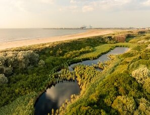 Eine Küstenlandschaft mit Strand, Feuchtgebieten und einem kleinen Gewässer.