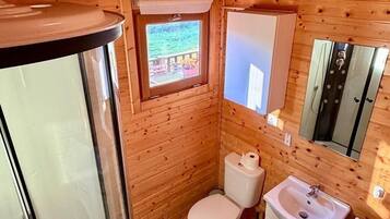 Shower, bidet, towels, toilet paper