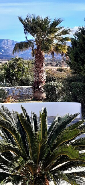 Property grounds - Vrbo Property (Naxos)
