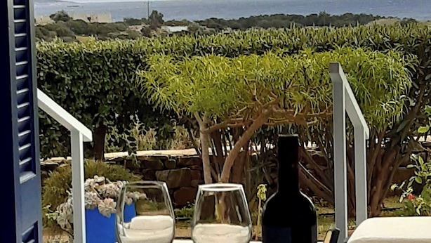 Una mesa con dos copas de vino y una botella, una rosa, y vistas a un viñedo y montañas a lo lejos.
