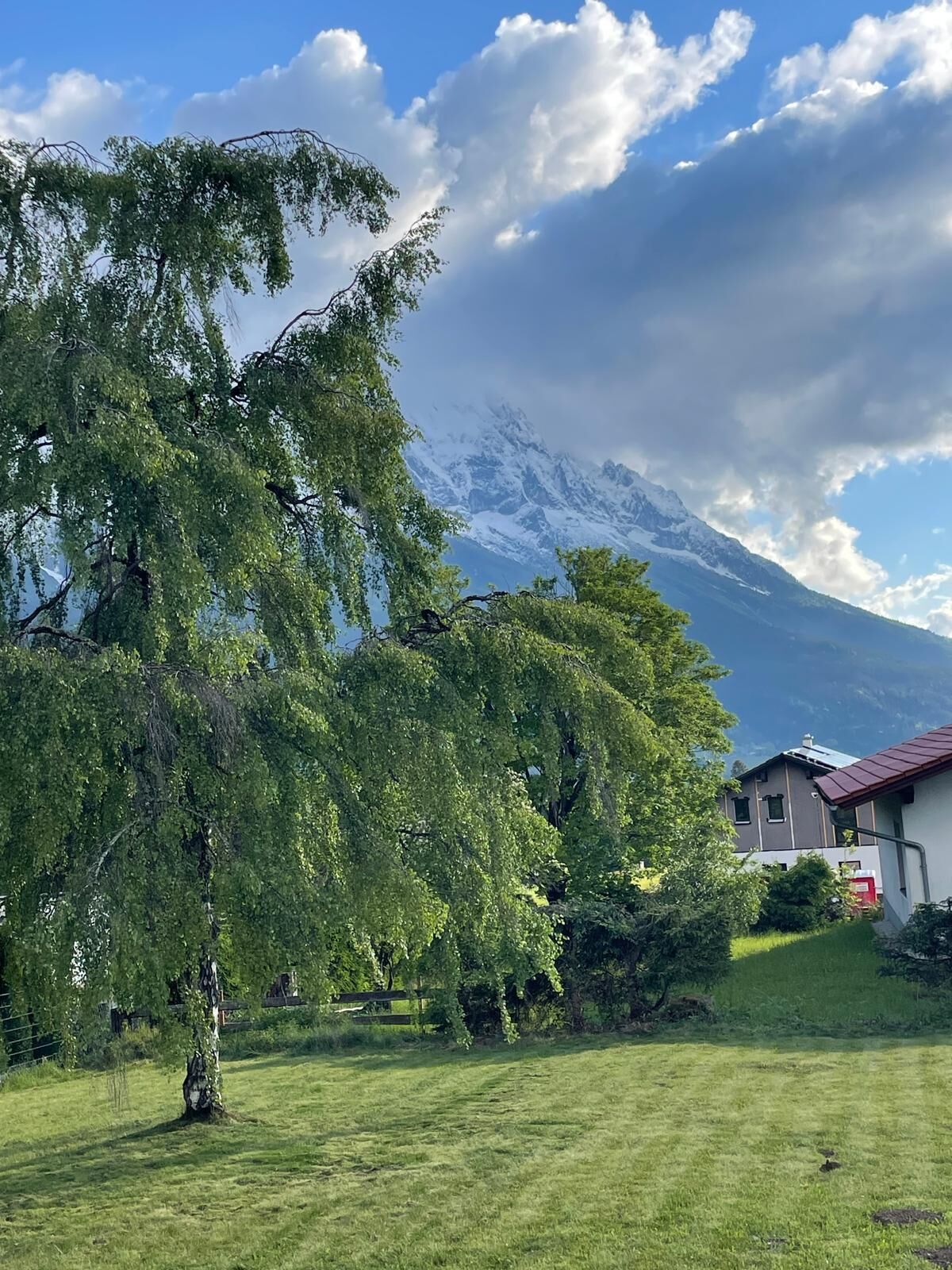 Un champ herbeux avec un arbre et un bâtiment doté d’un toit rouge.