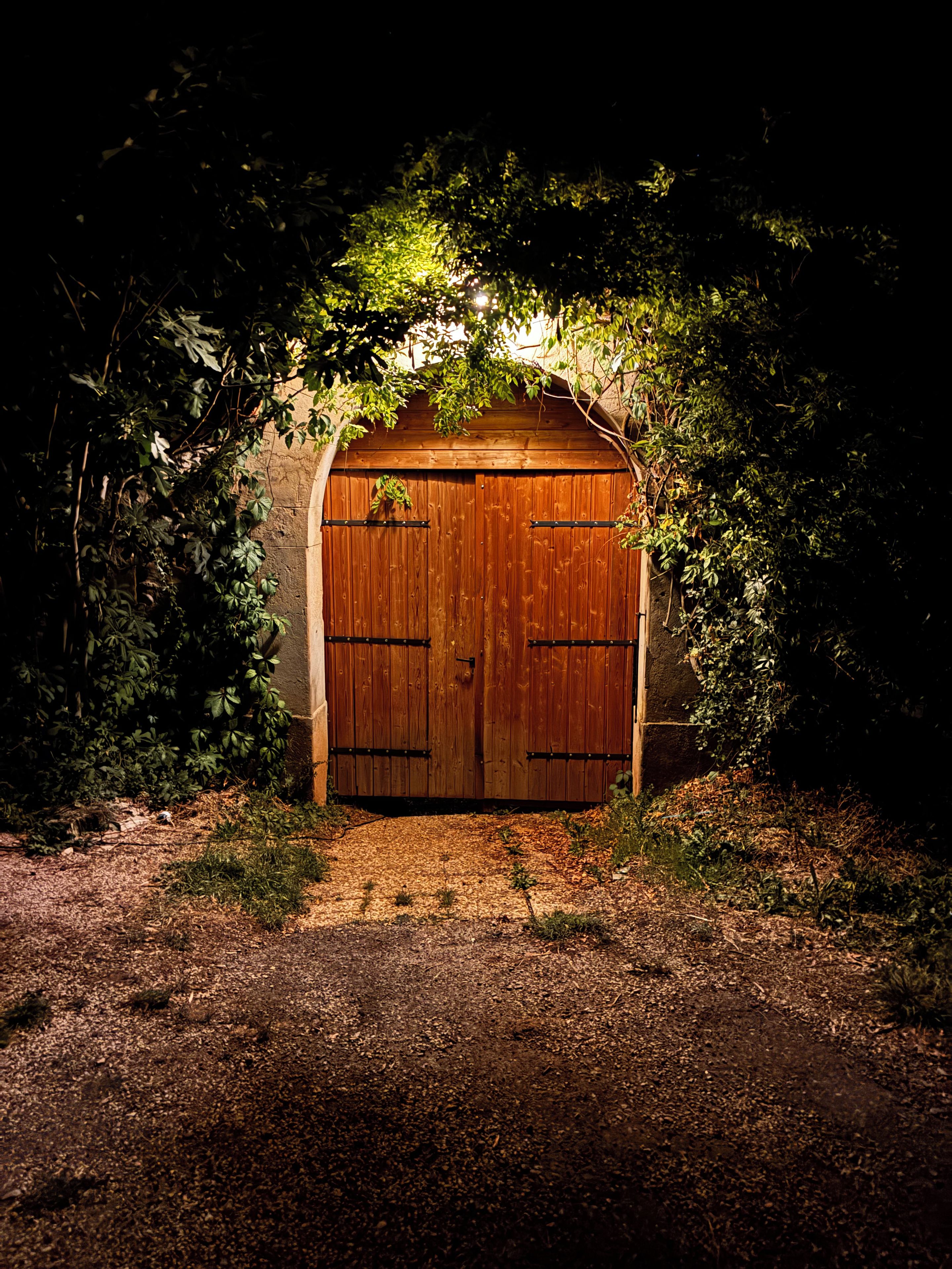 A wooden structure with a door, surrounded by foliage.