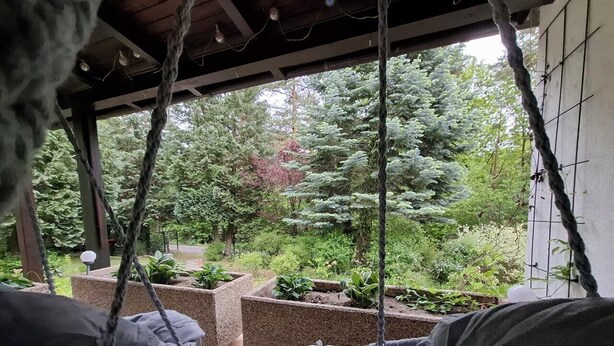 Un hamac suspendu sous une structure en bois, avec vue sur un jardin planté d’arbustes et d’arbres.