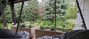 Cozy Cottage - dreaming in the forest