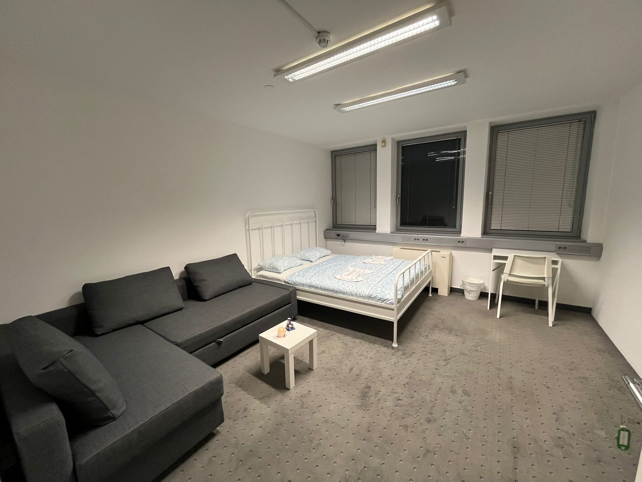 Une chambre à coucher avec un lit, un canapé gris, une petite table, un bureau et deux fenêtres.