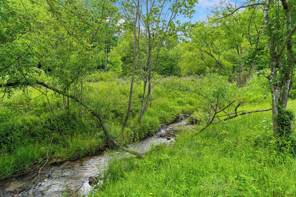 A natural landscape with a stream, trees, and grassy areas.
