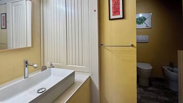 Shower, hair dryer, bidet, towels