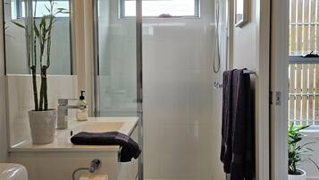 Shower, hair dryer, towels, soap