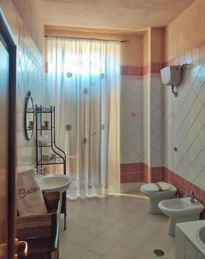 Regadera, secadora de cabello, bidet, toallas 