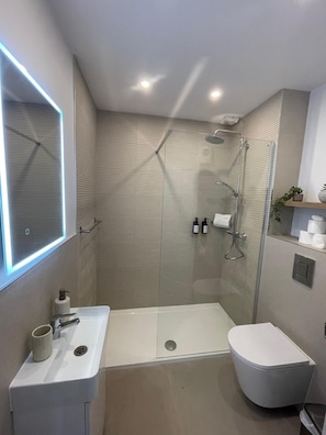Shower, hair dryer, towels, soap