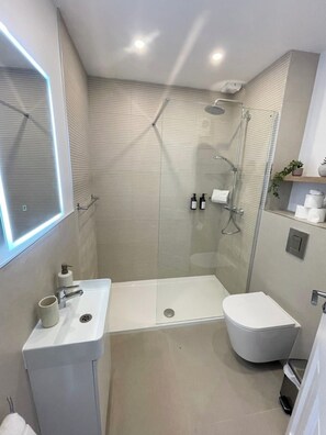 Shower, hair dryer, towels, soap