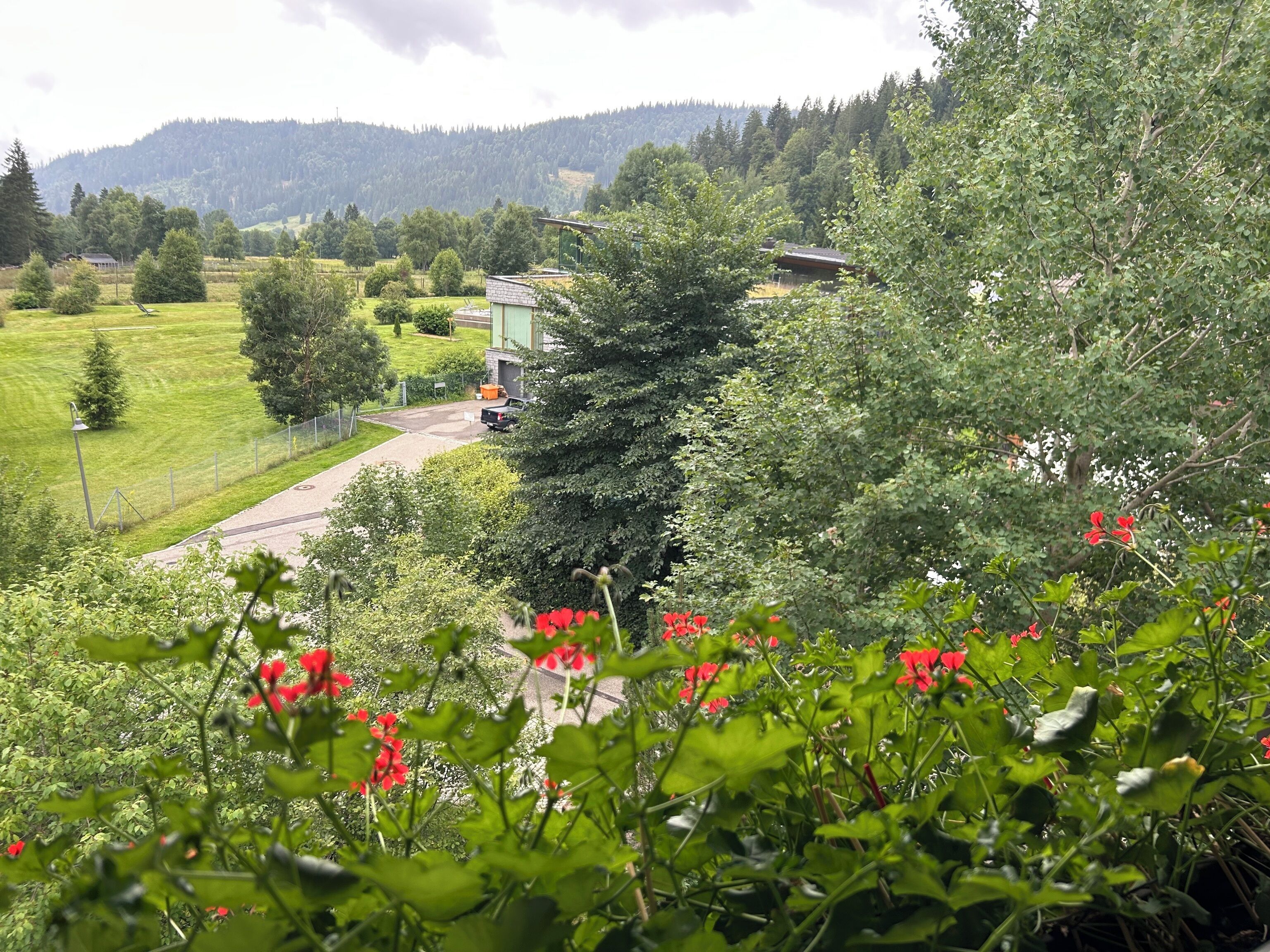Jardines del alojamiento