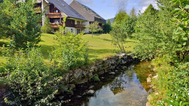 A chalet-style building with balconies, a stream, and surrounding greenery. - Vacation home Albmatte-large garden-perfect for couples, groups and families (Sankt Blasien)