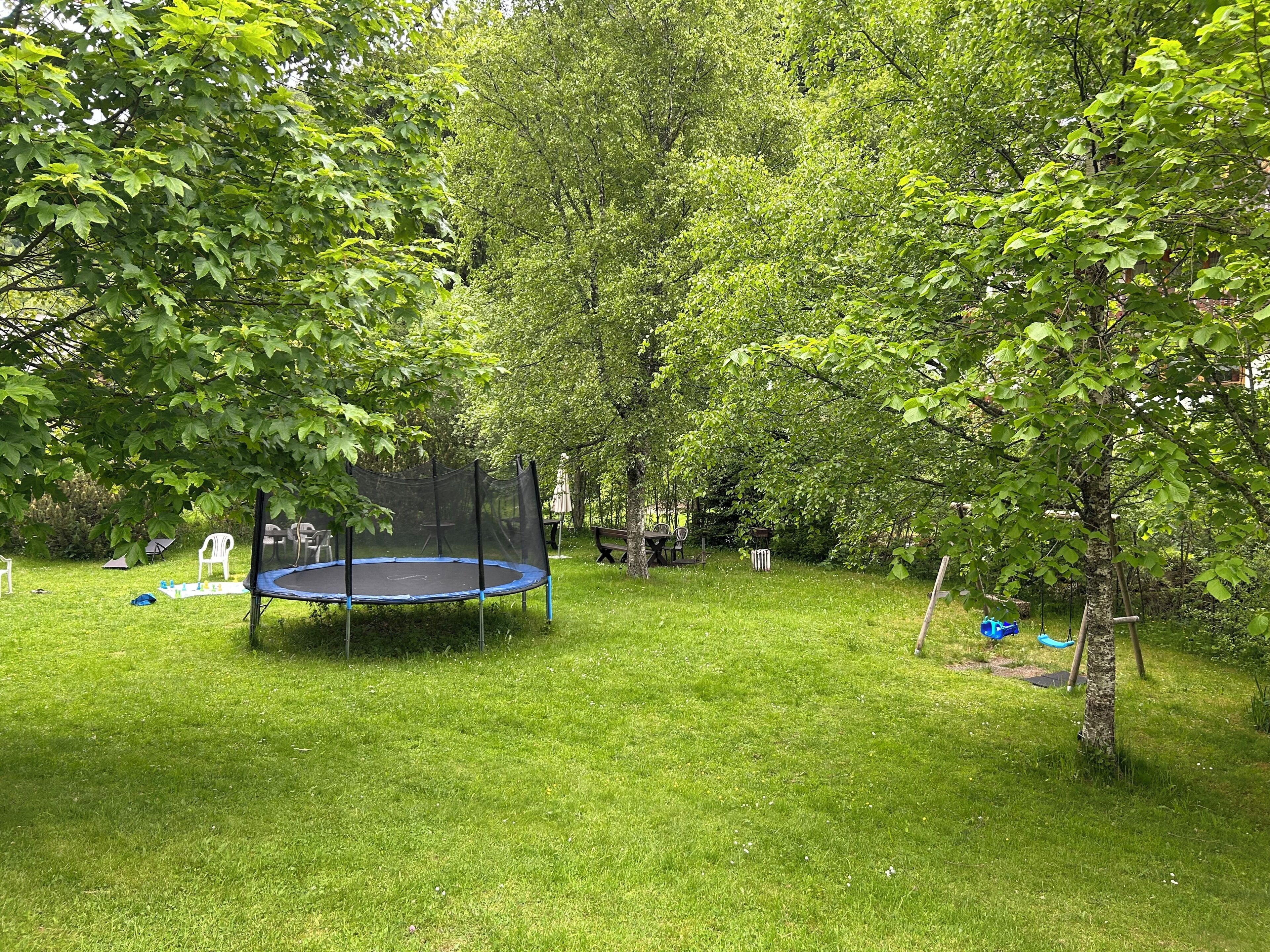 A trampoline surrounded by lush green trees in a backyard setting.