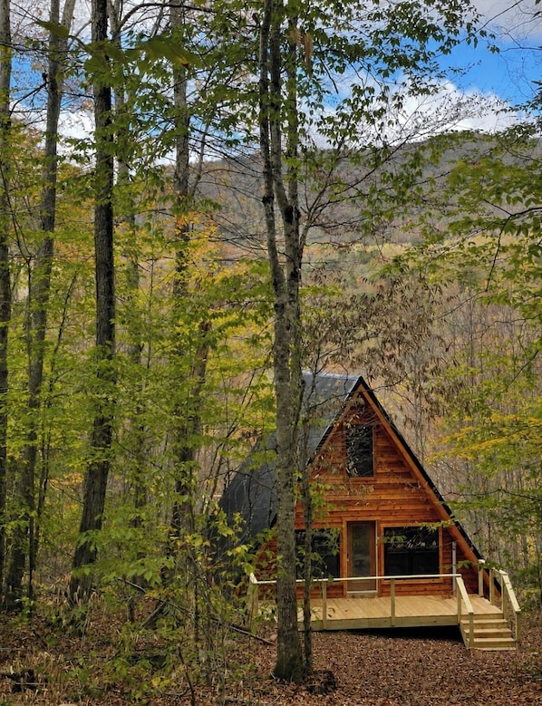 A cabin surrounded by trees with a wooden deck and a large window.